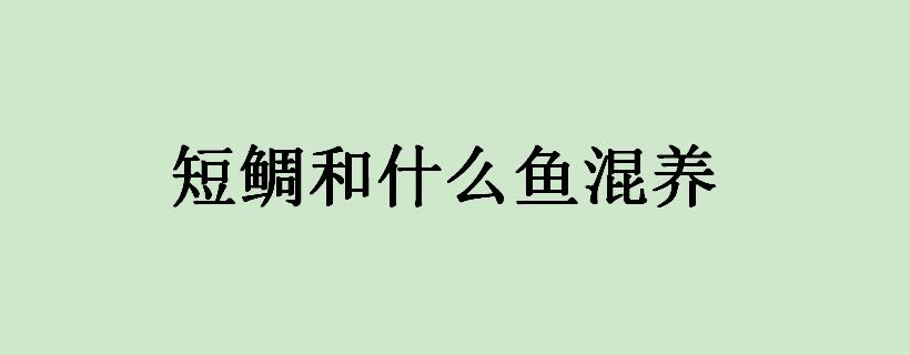 短鲷和什么鱼混养