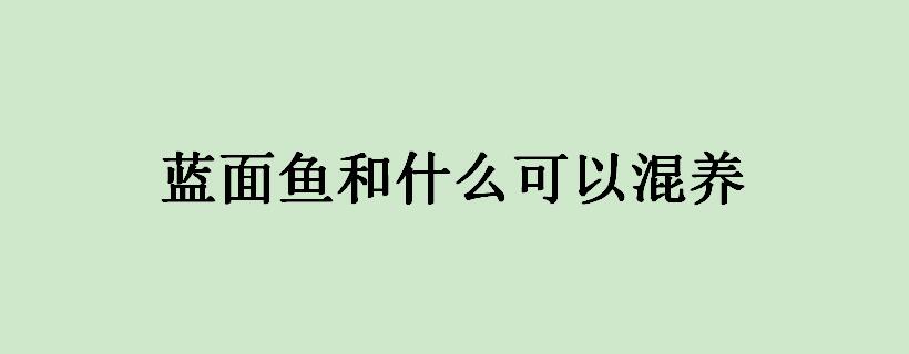 蓝面鱼和什么可以混养