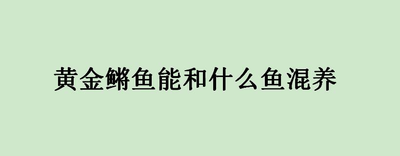 黄金鳉鱼能和什么鱼混养