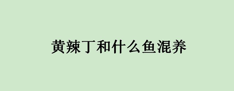 黄辣丁和什么鱼混养