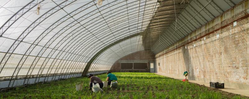 怎样建温室大棚