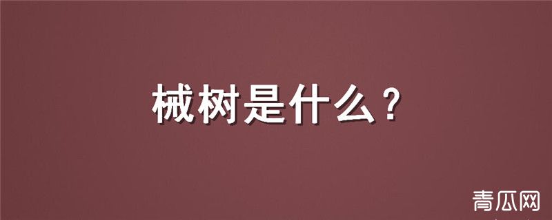 械树是什么