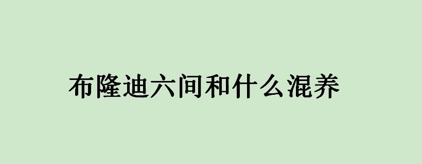 布隆迪六间和什么混养