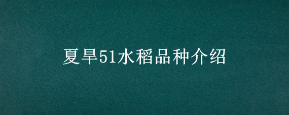 夏旱51水稻品种介绍