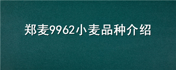 郑麦9962小麦品种介绍