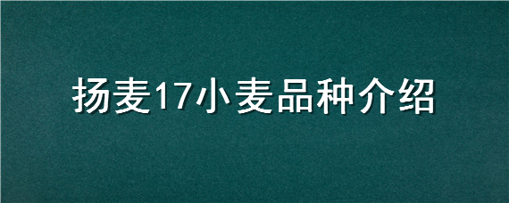 扬麦17小麦品种介绍