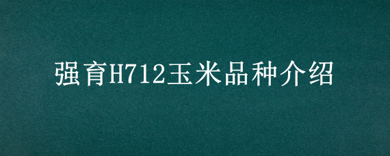 强育H712玉米品种介绍