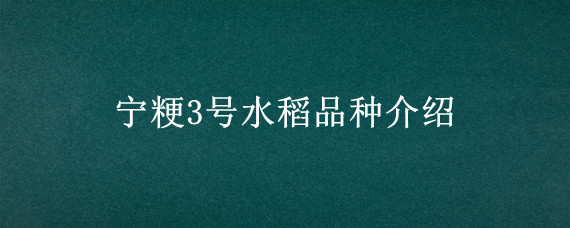 宁粳3号水稻品种介绍