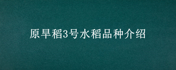 原旱稻3号水稻品种介绍