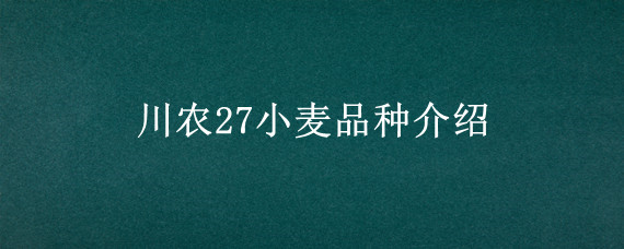 川农27小麦品种介绍