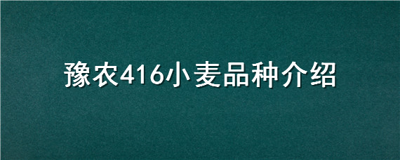 豫农416小麦品种介绍