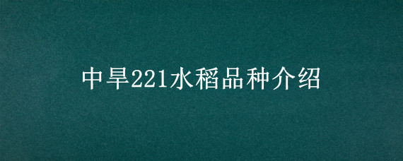 中旱221水稻品种介绍