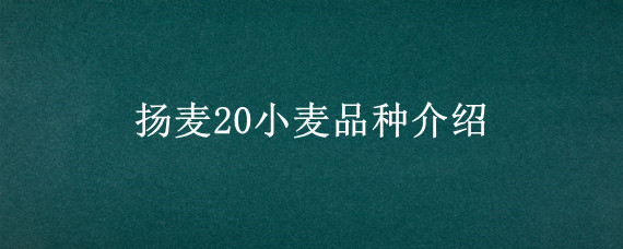 扬麦20小麦品种介绍