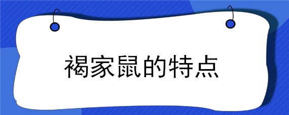 褐家鼠的特点