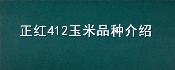 正红412玉米品种介绍