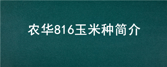 农华816玉米种简介