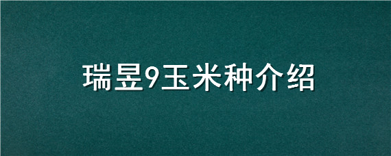 瑞昱9玉米种介绍