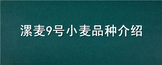 漯麦9号小麦品种介绍