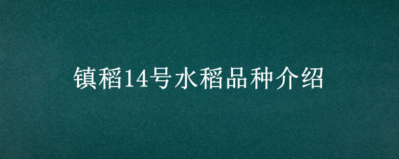 镇稻14号水稻品种介绍