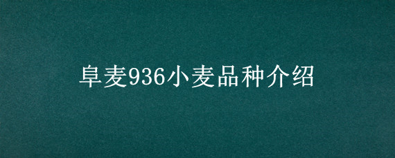 阜麦936小麦品种介绍