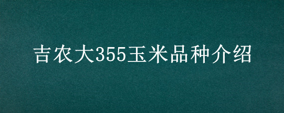 吉农大355玉米品种介绍