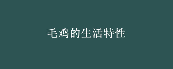 毛鸡的生活特性