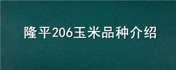 隆平206玉米品种介绍"