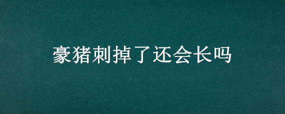 豪猪刺掉了还会长吗