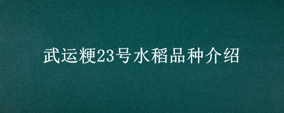 武运粳23号水稻品种介绍