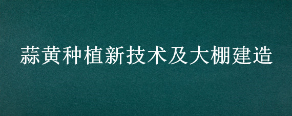 蒜黄种植新技术及大棚建造