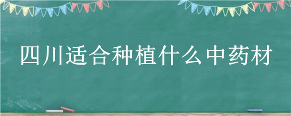 四川适合种植什么中药材