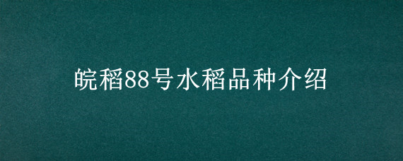 皖稻88号水稻品种介绍