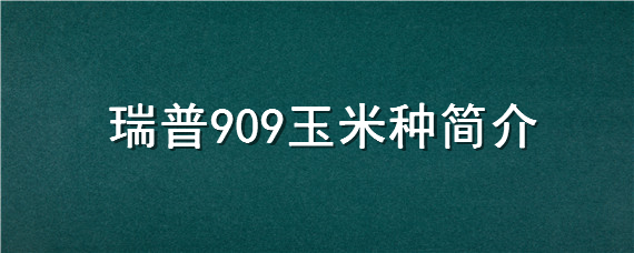 瑞普909玉米种简介