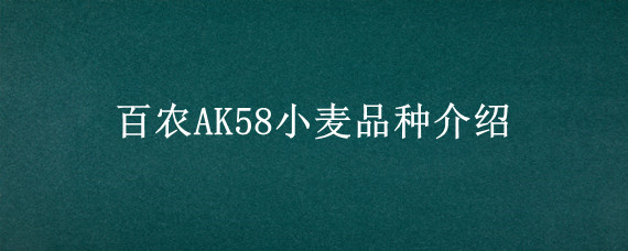 百农AK58小麦品种介绍