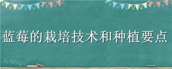 蓝莓的栽培技术和种植要点