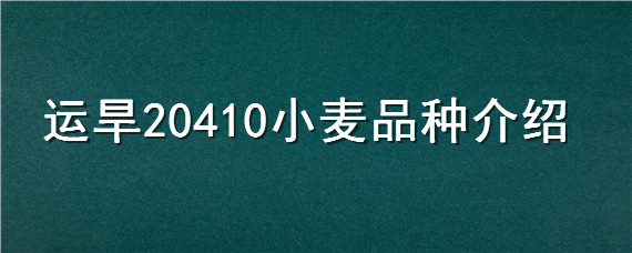 运旱20410小麦品种介绍