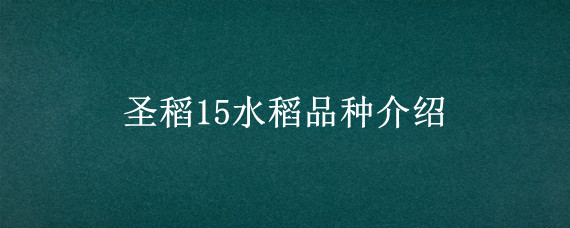 圣稻15水稻品种介绍