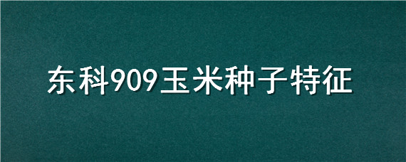 东科909玉米种子特征