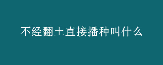 不经翻土直接播种叫什么