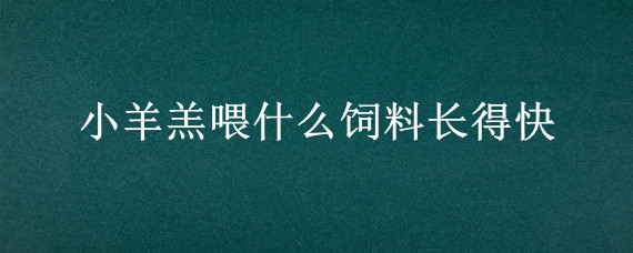 小羊羔喂什么饲料长得快