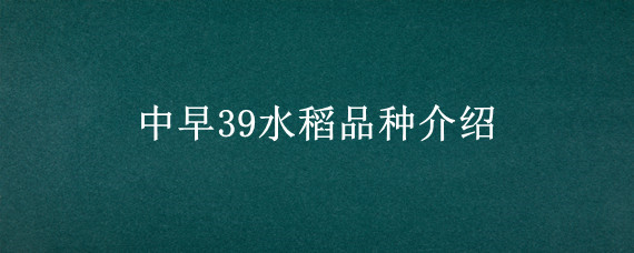 中早39水稻品种介绍