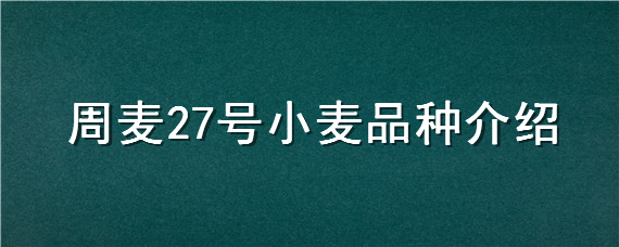 周麦27号小麦品种介绍