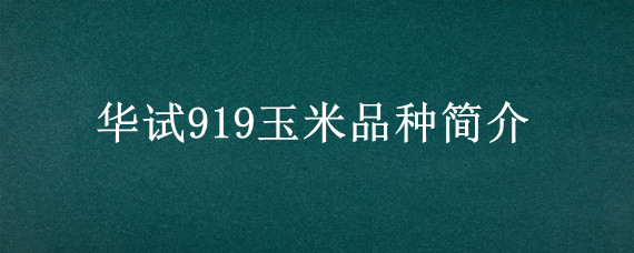 华试919玉米品种简介