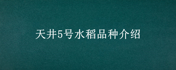 天井5号水稻品种介绍