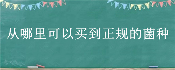 从哪里可以买到正规的菌种