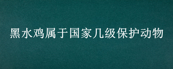 黑水鸡属于国家几级保护动物