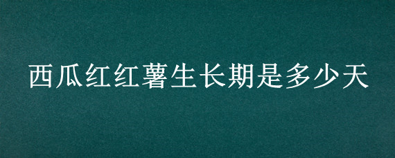 西瓜红红薯生长期是多少天