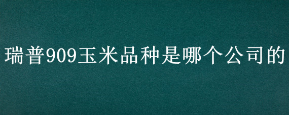 瑞普909玉米品种是哪个公司的