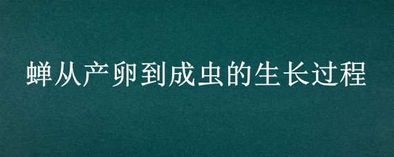 蝉从产卵到成虫的生长过程