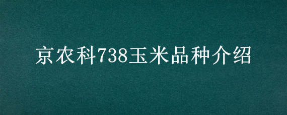 京农科738玉米品种介绍